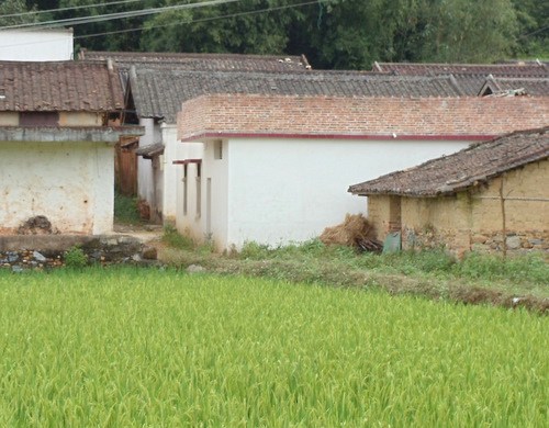 Village of Rice Planters.
